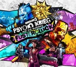 Borderlands 3 - Psycho Krieg and the Fantastic Fustercluck DLC Steam CD Key