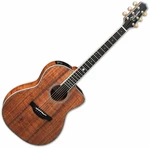 Takamine The 60th Natural