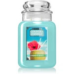 Country Candle Caribbean Beach vonná svíčka 737 g