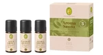 Primavera Poznávacia sada Fresh ness & Energy (Aroma Sauna)