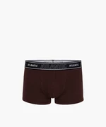 Men's Boxers ATLANTIC Magic Pocket - brown