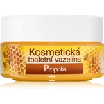 Bione Cosmetics Honey + Q10 kosmetická vazelína 155 ml