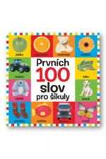 Prvních 100 slov pro šikuly