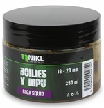 Nikl boilies v dipu 250 g 18/20 mm - giga squid