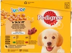 PEDIGREE Kapsička Junior mixovaný výber s ryžou v želé 12pack