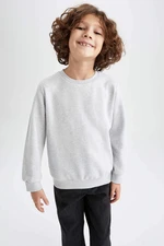 DEFACTO Boys Regular Fit Crew Neck Reversible Sweatshirt