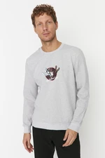 Trendyol Gray Men's Regular/Normal Fit Crew Neck Looney Tunes Licensed Sweatshirt