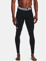 leginsy męskie Under Armour