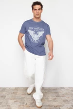 Trendyol Blue Eagle Printed Regular Cut T-Shirt