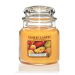 Yankee Candle Aromatická sviečka Classic strednej Mango Peach Salsa 411 g