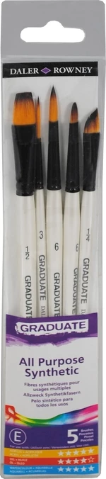 Daler Rowney Graduate Multi-Technique Brush Synthetic Juego de pinceles 1 pc