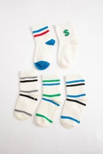 DEFACTO Baby Boy Seamless 5-Pack Cotton Long Socks