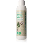 Greenatural Shampoo Sage & Nettle šampon pro mastné vlasy 250 ml