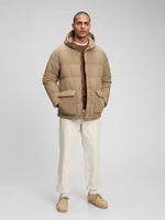 GAP Winter Hooded Jacket - Men