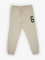 Beige Boys Sweatpants Tom Tailor - Boys