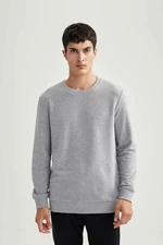 DEFACTO Regular Fit Sweatshirt