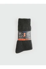 LC Waikiki Lcw Thermal Men's Ankle Socks