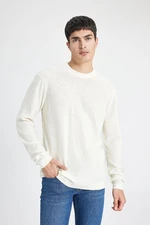 DEFACTO Men's Ecru Standard Fit Regular Cut Crew Neck Basic Plain Knitwear Sweater