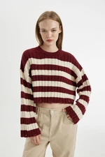 DEFACTO Regular Fit Striped Crew Neck Crop Knitwear Sweater