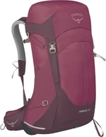 Osprey Sirrus 36 Elderberry Purple/Chiru Tan Outdoor Zaino