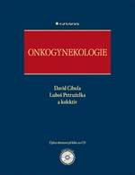 Onkogynekologie, Cibula David