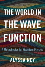 The World in the Wave Function