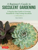 A Beginner's Guide to Succulent Gardening