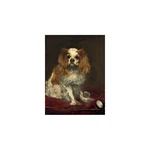 Reprodukcia obrazu Édouard Manet - A King Charles Spaniel, 40 x 30 cm