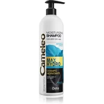 Delia Cosmetics Cameleo Max Hydro hydratační šampon pro velmi suché vlasy 500 ml