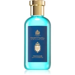 Truefitt & Hill Trafalgar Bath and Shower Gel energizujúci sprchový gél pre mužov 200 ml