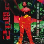 2Pac – Strictly 4 My N.I.G.G.A.Z... LP