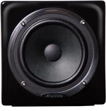 Avantone Pro Active MixCube Noir