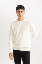 DEFACTO Standard Fit Crew Neck Sweater