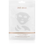 Zoë Ayla Reusable Silicone Mask Set sada pleťových masiek