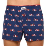 Men's shorts Gosh multicolored