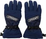 Spyder Mens Overweb GTX Ski Gloves True Navy XL Mănuși schi