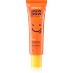 Pure Paw Paw Mango balzam na pery a suché miesta 15 g