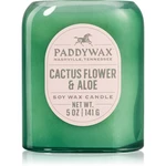 Paddywax Vista Cactus Flower & Aloe vonná sviečka 142 g