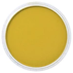 PanPastel 9ml – 250.3 Diarylide Yellow Shade