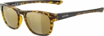 Alpina Lino II Havanna/Gold Lifestyle okulary