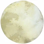 Terre Goat Skin NT 70-80cm Față pentru percuție