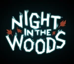 Night in the Woods EU PC Steam CD Key