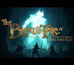 The Bard's Tale IV: Director's Cut - Standard Edition EU Steam CD Key