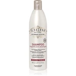 Alfaparf Milano Il Salone Milano Magnificent šampon pro barvené vlasy 500 ml