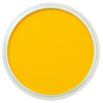 PanPastel 9ml – 250.5 Diarylide Yellow