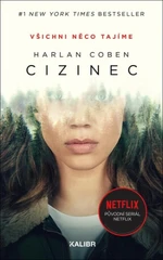 Cizinec (Defekt) - Harlan Coben