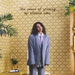 Alessia Cara - The Pains Of Growing (2 LP)