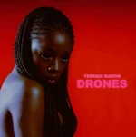 Terrace Martin - Drones (LP)