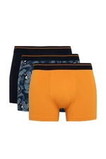 DEFACTO Regular Fit 3-pack Boxer