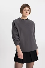 DEFACTO Oversize Fit Wide Mold Bike Neck Thick Basic Plain Casual Sweatshirt